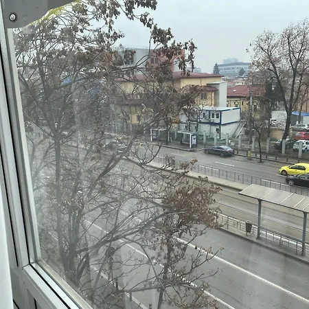 Luxury In Victoriei Bulevard Apartament