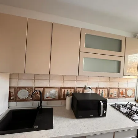 Apartment Luxury In Victoriei Bulevard Bucharest