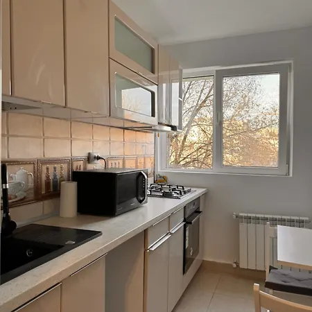 Luxury In Victoriei Bulevard